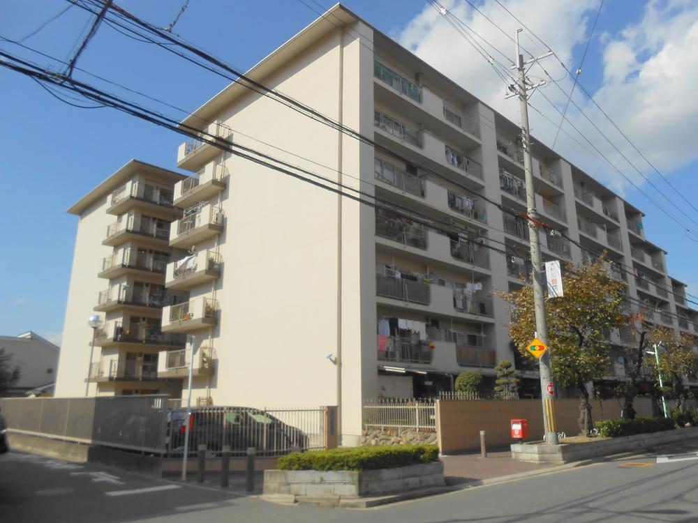 Local appearance photo. Local (11 May 2013) Shooting