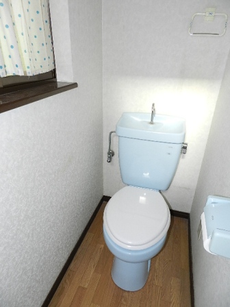 Toilet. First floor toilet