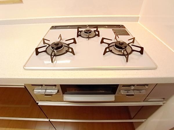 Other Equipment. Care easy gas stove