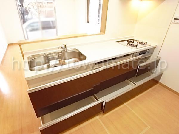 Kitchen. Face-to-face kitchen storage enhancement