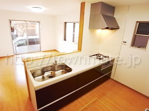 Other introspection. Kitchen 2