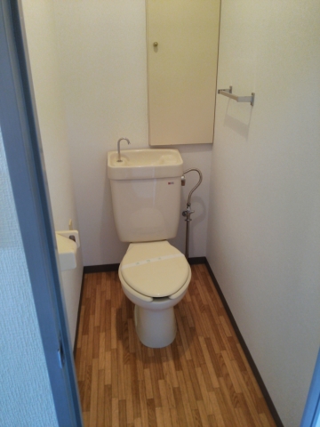 Toilet. LaPorte Dainichi toilet
