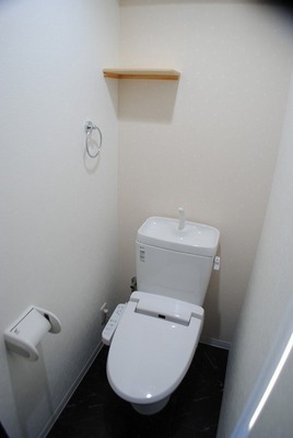 Toilet. Toilet