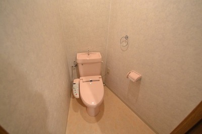 Toilet. Toilet