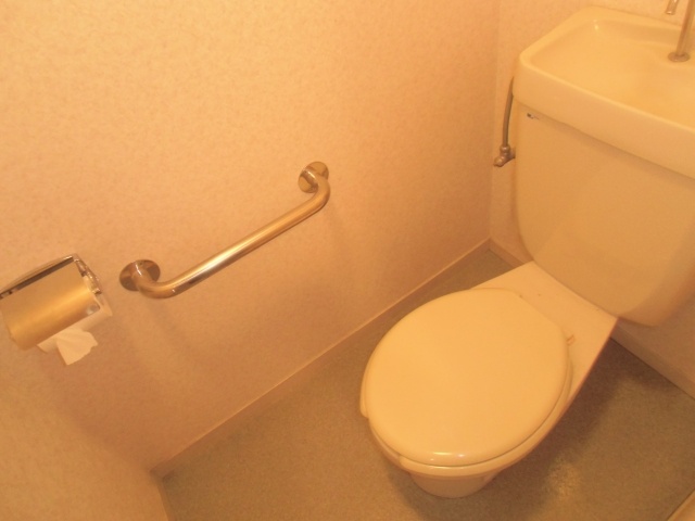 Toilet. Toilet is with a handrail. 