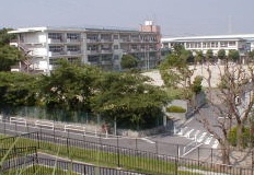 Primary school. 157m to Moriguchi stand shimojima elementary school (elementary school)