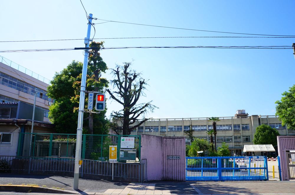 Primary school. Yakumo until elementary school 240m