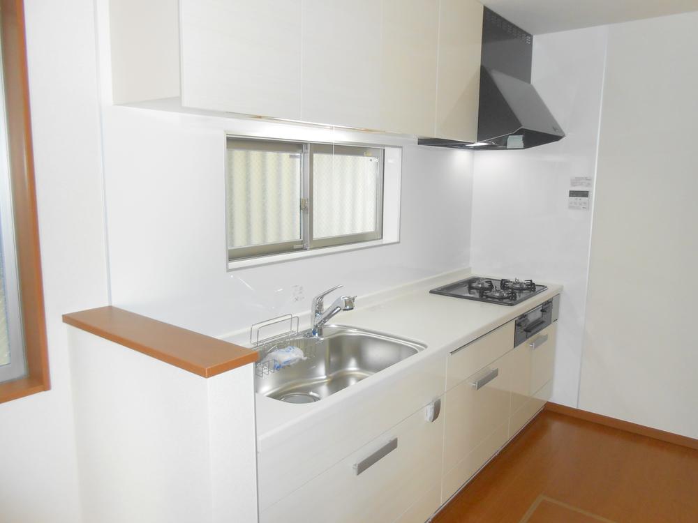 Kitchen. Indoor (11 May 2013) Shooting