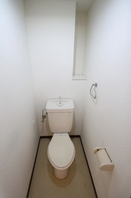 Toilet. Toilet