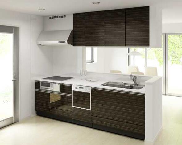 Kitchen. Dishwasher, Water filter, Glass top stove standard specification.
