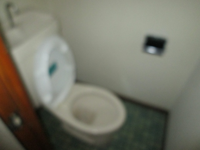 Toilet. Western-style toilet