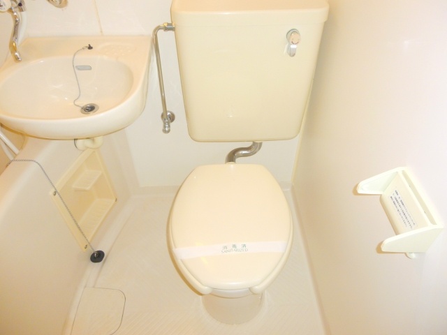 Toilet. Renovated and has