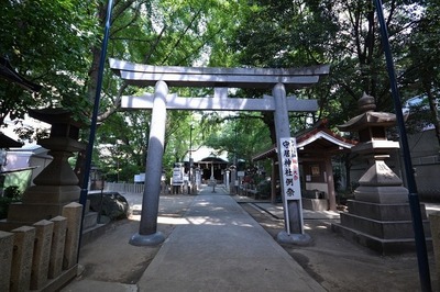 Other. 150m to the shrine (Other)