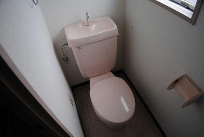 Toilet. Toilet