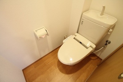 Toilet. Washlet toilet