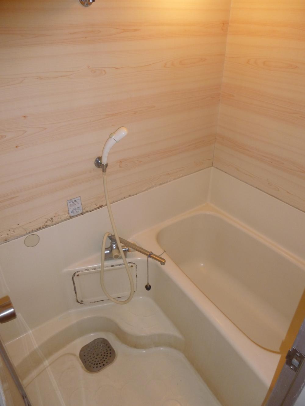 Bathroom. Bathing has also become the walls of the Wood