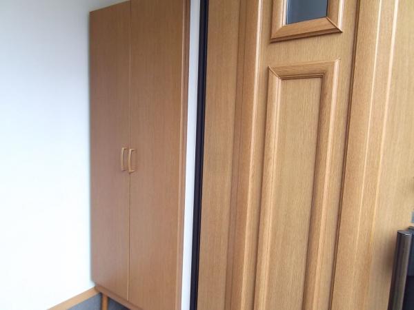 Other introspection. Cupboard and entrance door