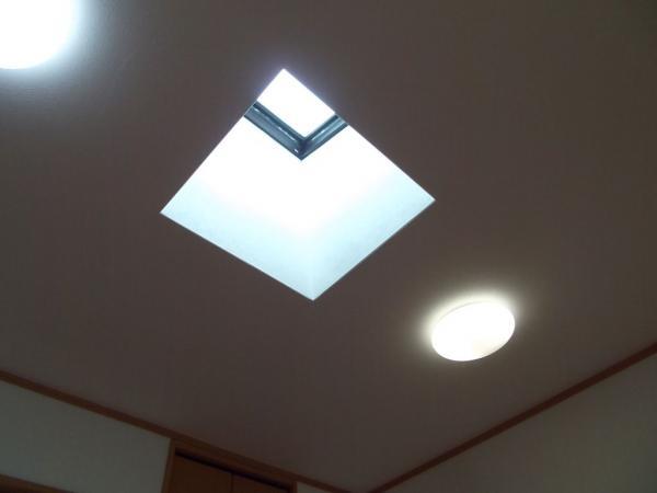Other introspection. We took the lighting in the skylight