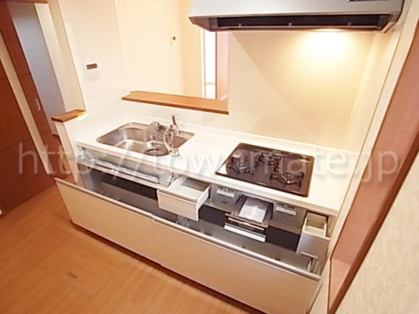 Kitchen. System kitchen with counter