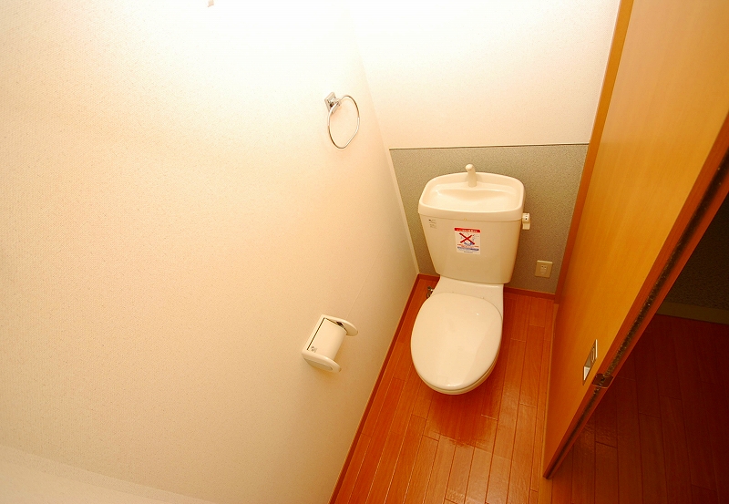 Toilet. Toilet