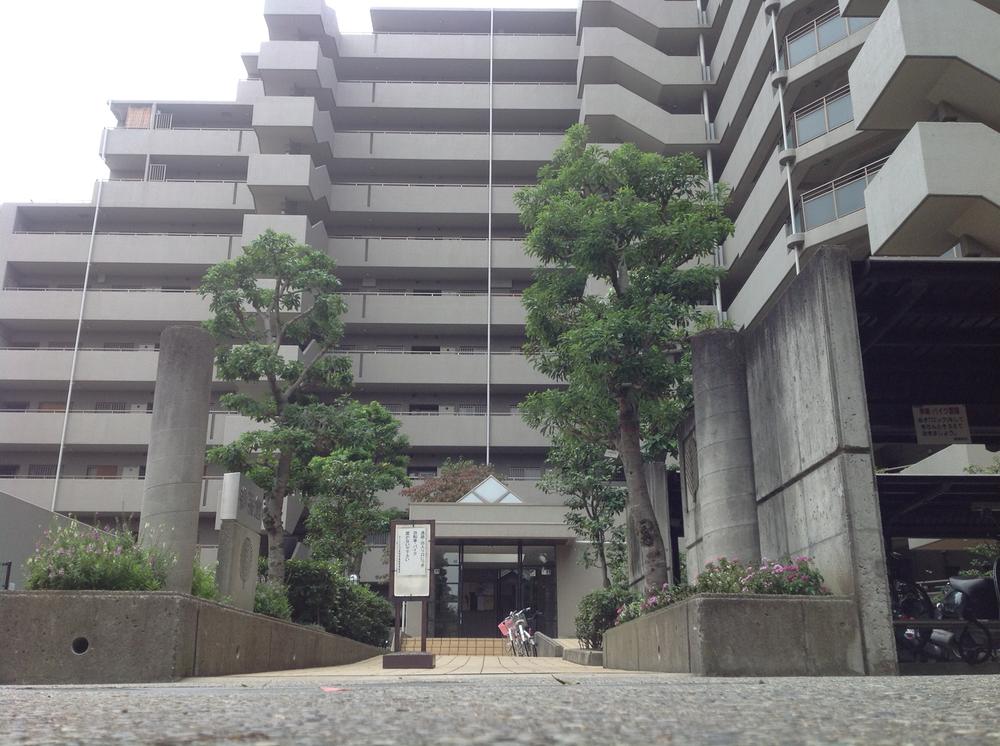 Local appearance photo. Local (11 May 2013) Shooting