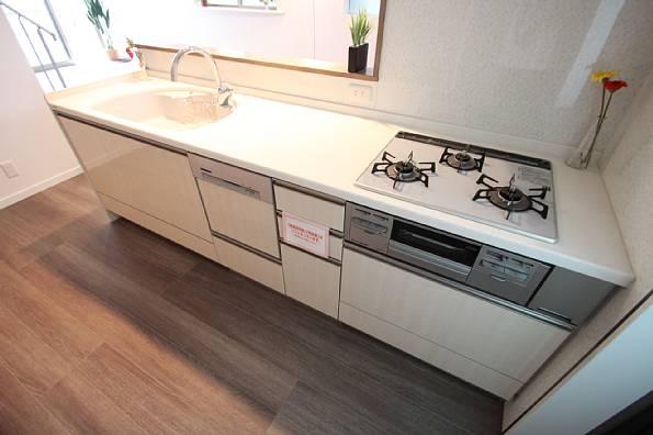 Kitchen. System kitchen. Dish washing dryer is also of course the standard