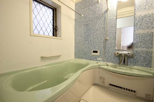 Bathroom. Spacious bathroom. Accent panel mosaic tile