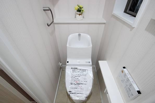 Toilet. Design made thinking of daylighting