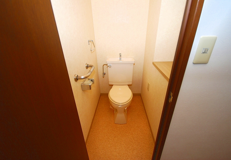 Toilet. Toilet