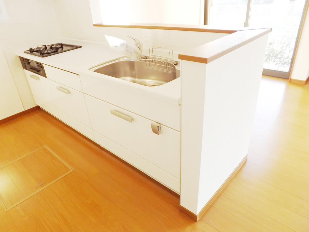 Kitchen. Local photo (kitchen) Slide storage! Water purifier with shower!