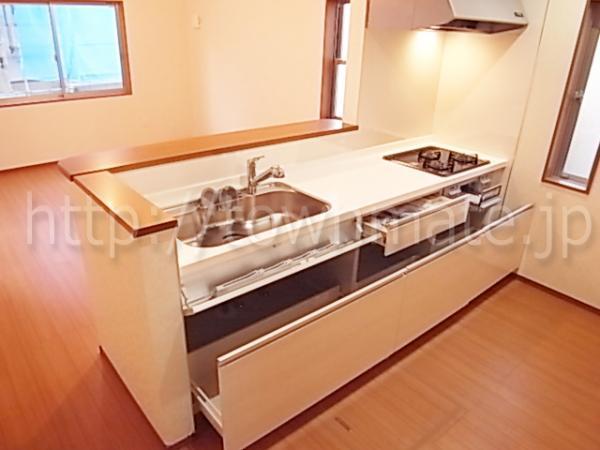 Kitchen. System kitchen with counter