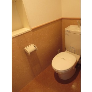 Toilet. Toilet