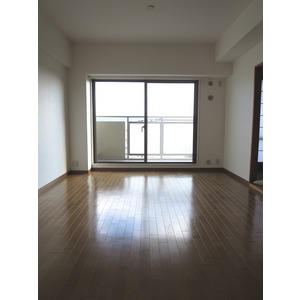 Living and room. Living
