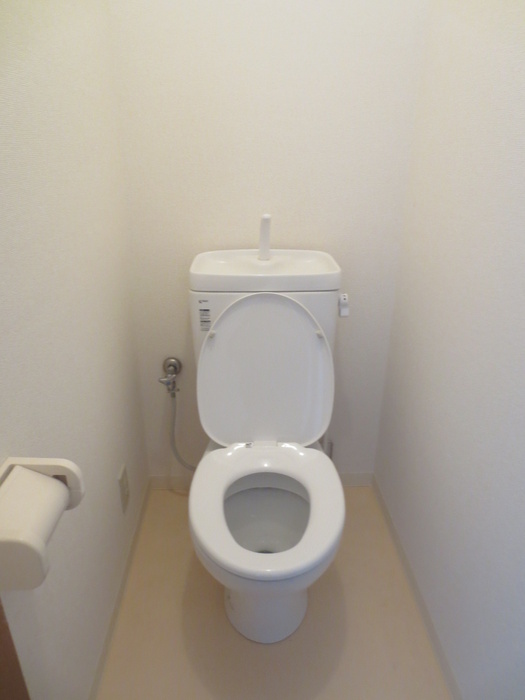 Toilet. Toilet