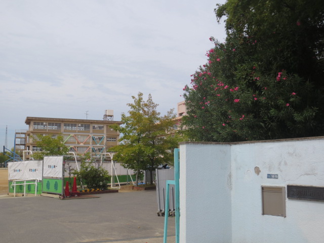 Primary school. Neyagawa Minami to elementary school (elementary school) 453m