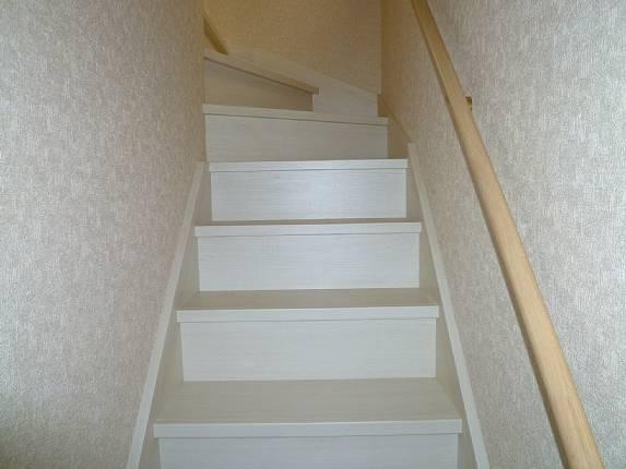 Same specifications photo (bathroom). Stairs of peace of mind even in the old age in with handrail