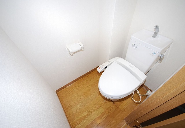 Toilet. Toilet