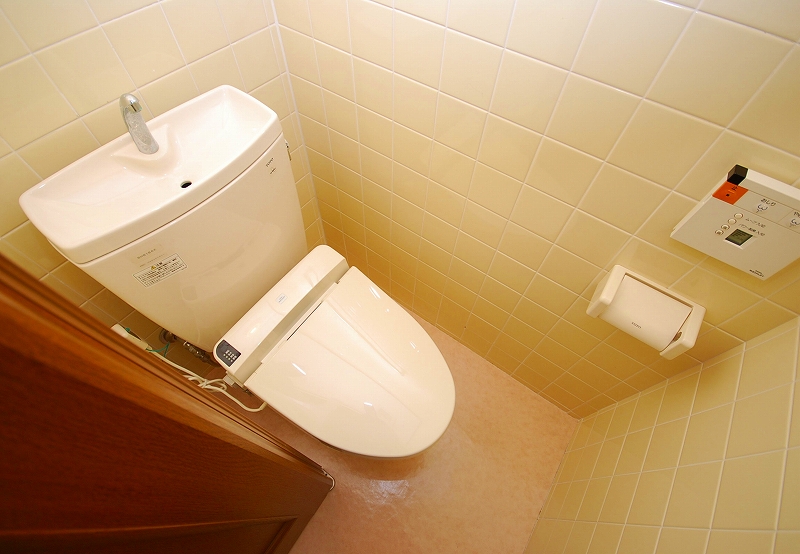 Toilet. Toilet