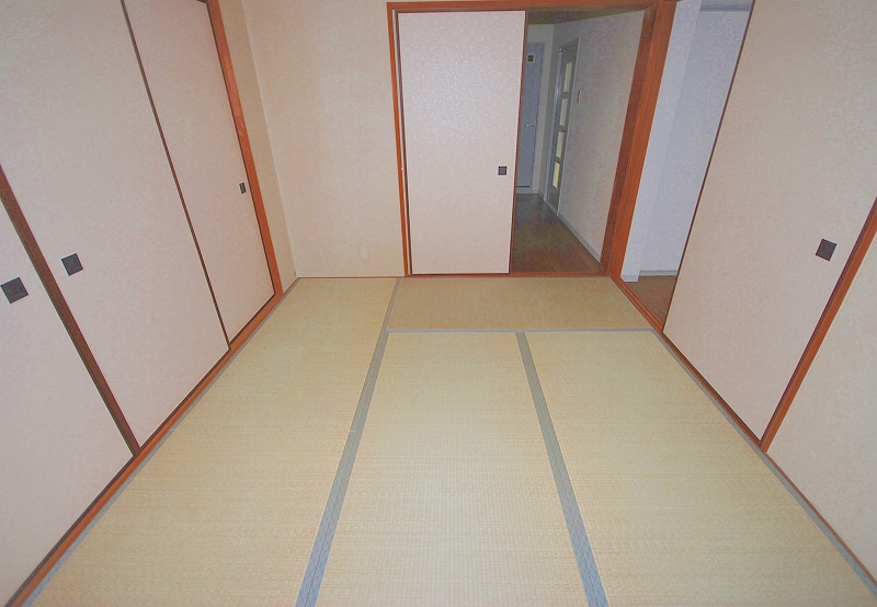 Other room space. Japanese style room