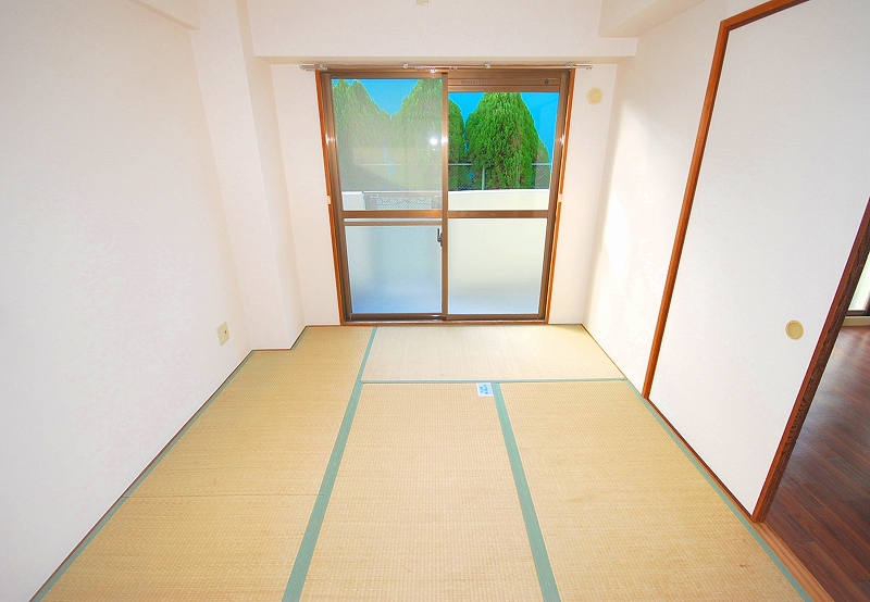 Other room space. Japanese style room