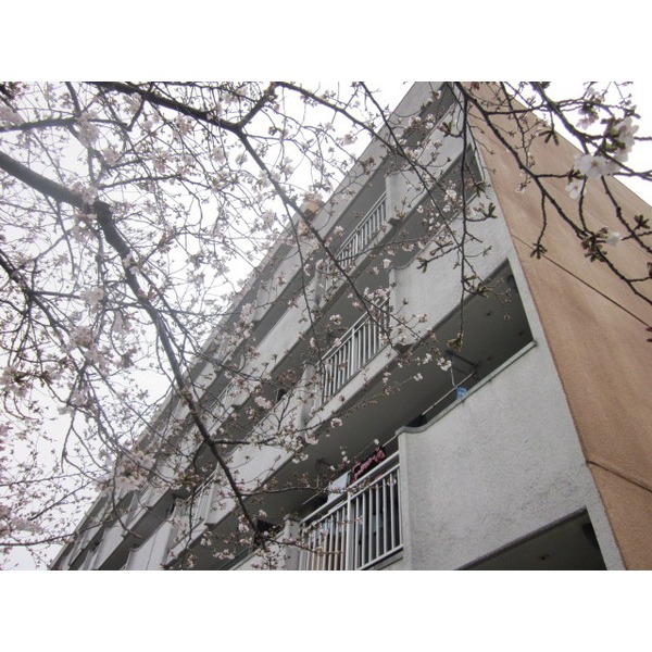 Building appearance