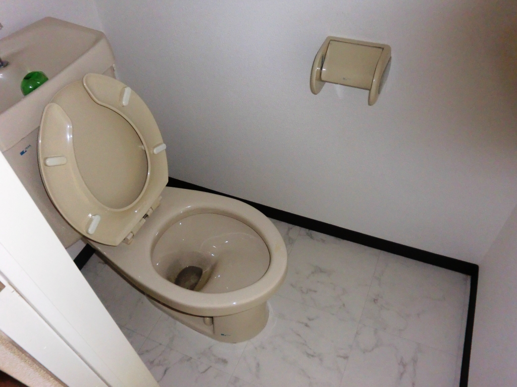 Toilet