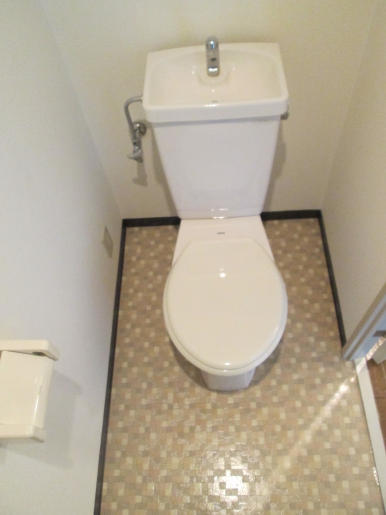 Toilet