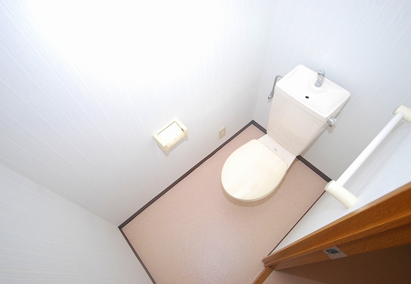 Toilet. Toilet