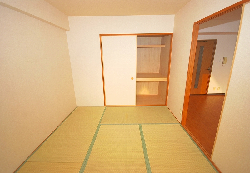 Other room space. Japanese style room