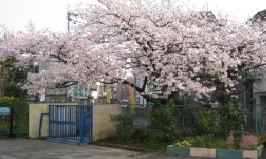 Primary school. 477m to Neyagawa Municipal Shimeno elementary school (elementary school)