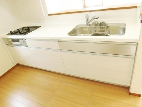 Kitchen. Local photo (kitchen) Slide storage! Water purifier with shower!