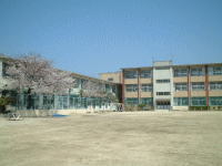 Primary school. Neyagawa Municipal Nishi Elementary School 196m until the (elementary school)