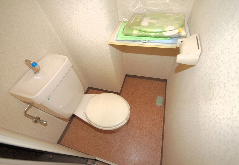 Toilet. Toilet