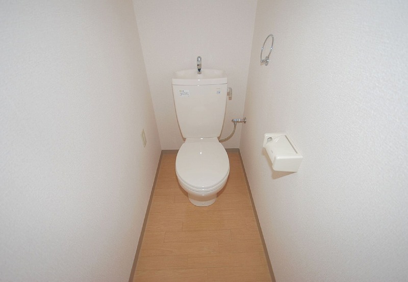 Toilet. Toilet